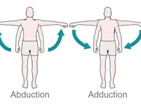 shoulder abduction and adduction.